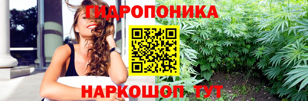 Бошки Шишки Ganja Кызыл